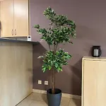 Zalig Ruim Op 100m Het Appartement Nieuport